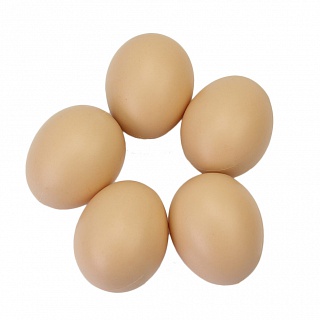 Яйцо куриное подкладочное пластиковое БЕЖЕВОЕ (полое)