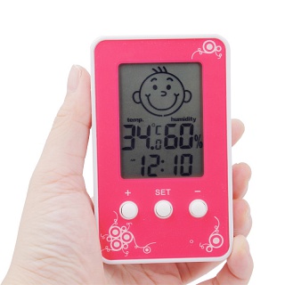 Термометр цифровой с гигрометром DM-3190 (0...+50 °С, часы)