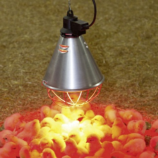 Лампа инфракрасная ИКЗК (250 Вт, красная) 215